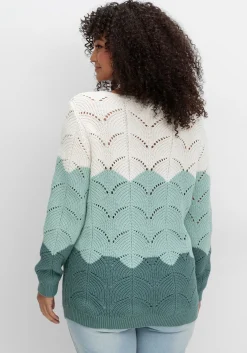 Pullover im Ajourstrick, mit Colourblocking<sheego Discount