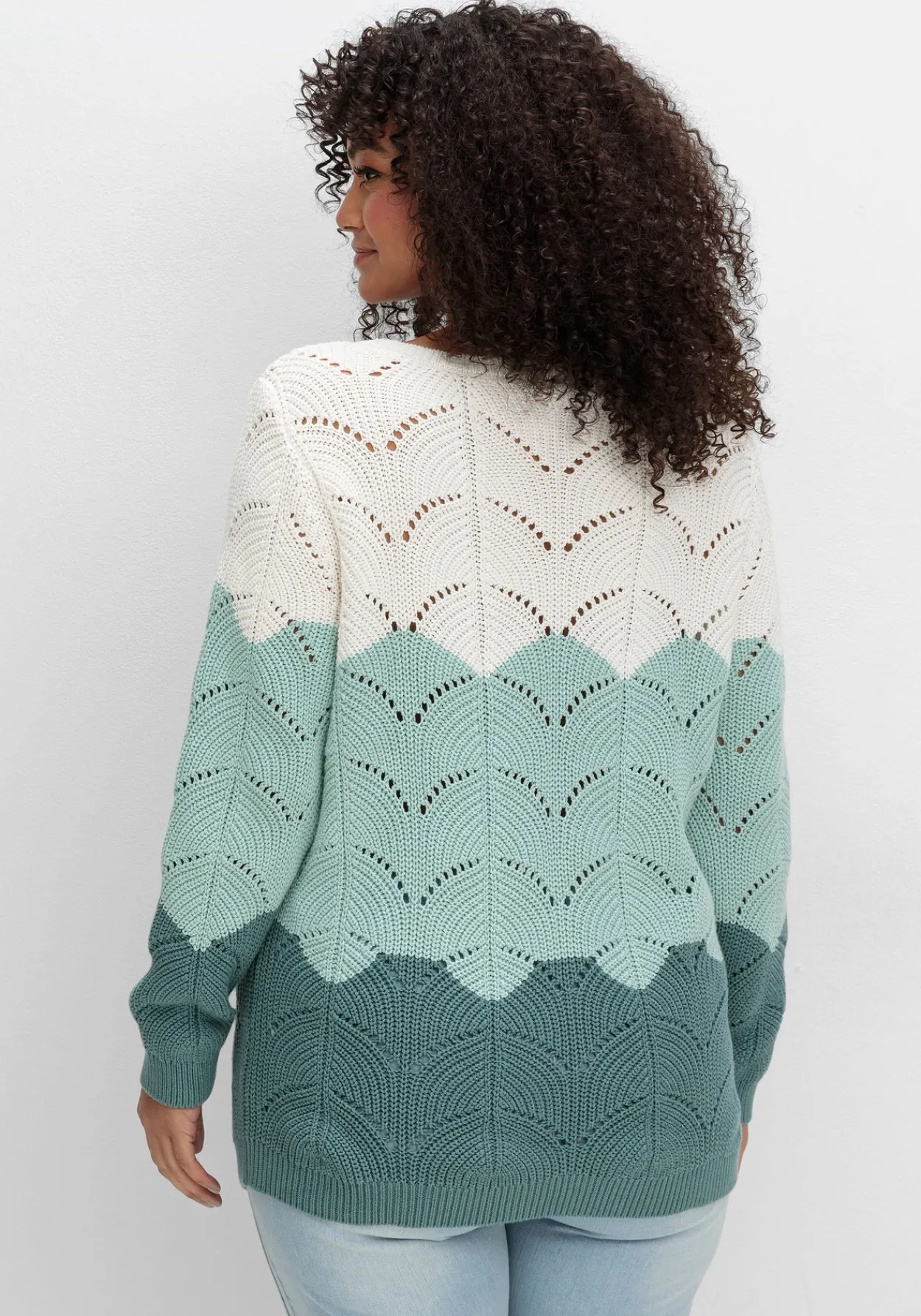 Pullover im Ajourstrick, mit Colourblocking<sheego Discount