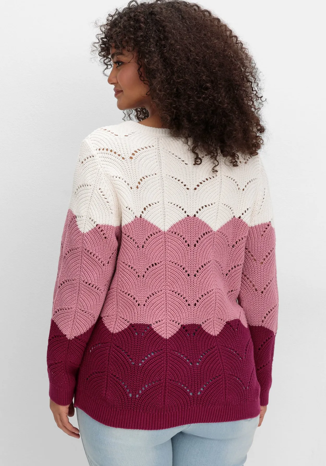 Pullover im Ajourstrick, mit Colourblocking<sheego New