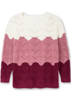 Pullover im Ajourstrick, mit Colourblocking<sheego New