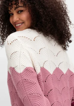 Pullover im Ajourstrick, mit Colourblocking<sheego New